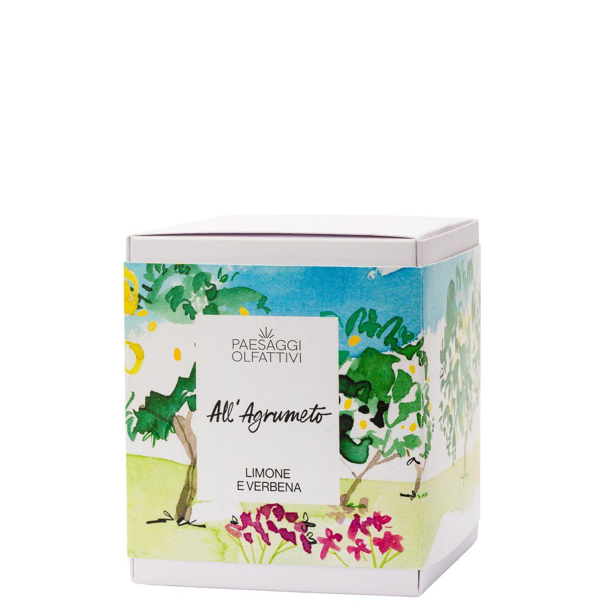 Domea Paesaggi Olfattivi DIFFUSORE ALL'AGRUMETO 120ml